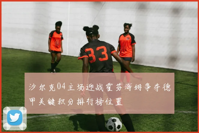 沙尔克04主场迎战霍芬海姆争夺德甲关键积分排行榜位置