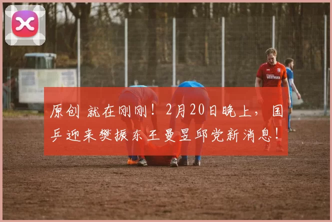 原创 就在刚刚！2月20日晚上，国乒迎来樊振东王曼昱邱党新消息！