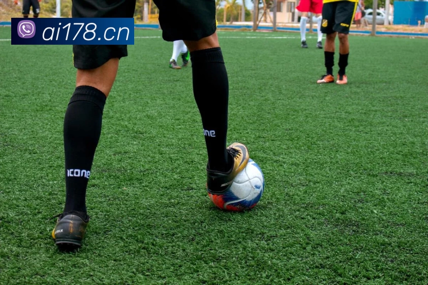 App Interface Preview